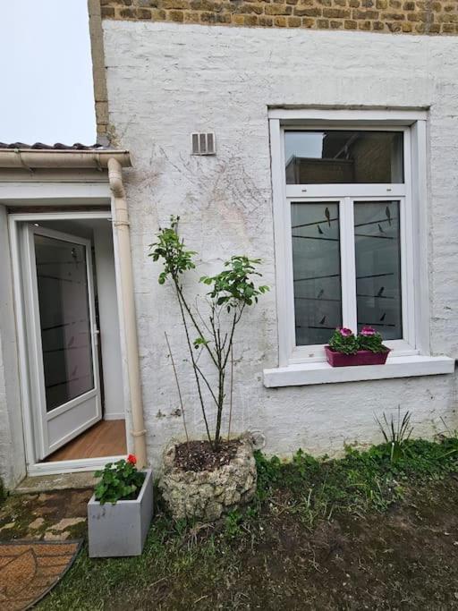 Studio Avec Jardin Rosendael Proche Plage Dunkirk Kültér fotó