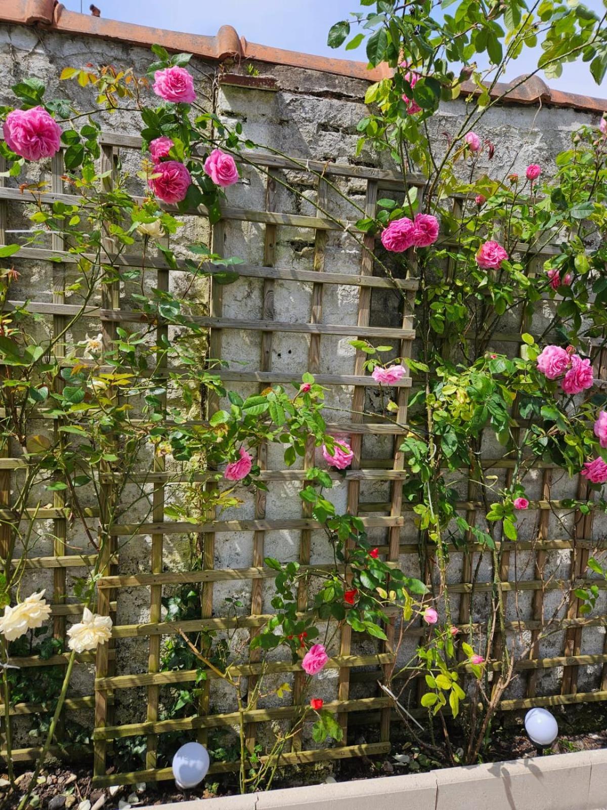 Studio Avec Jardin Rosendael Proche Plage Dunkirk Kültér fotó